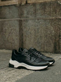 Chicago Low-Tops