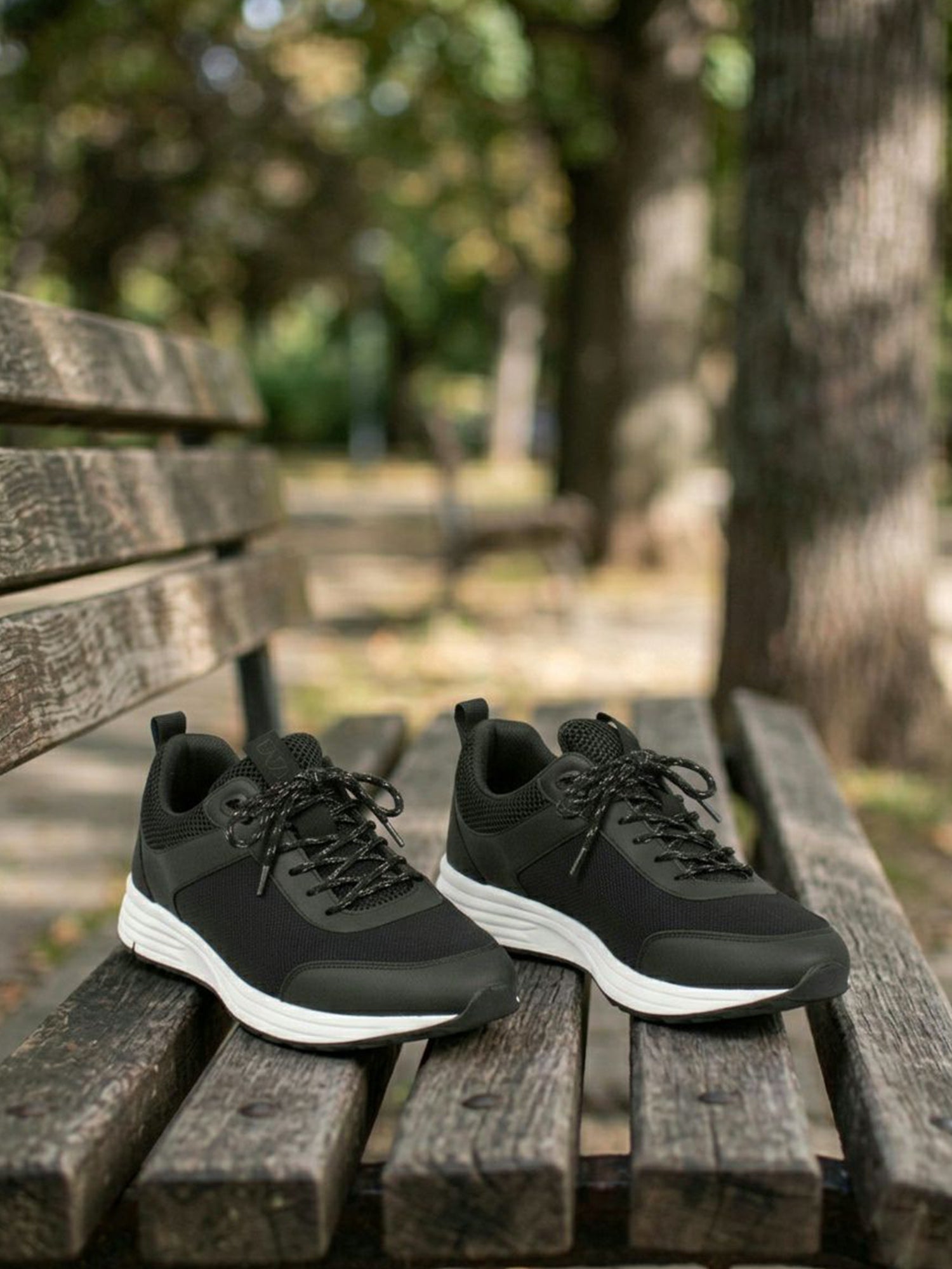WVSport Straßenlauf-Trainer