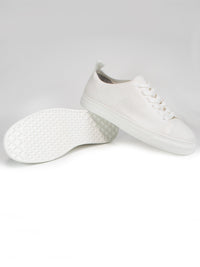 Biologisch abbaubare NY Turnschuhe